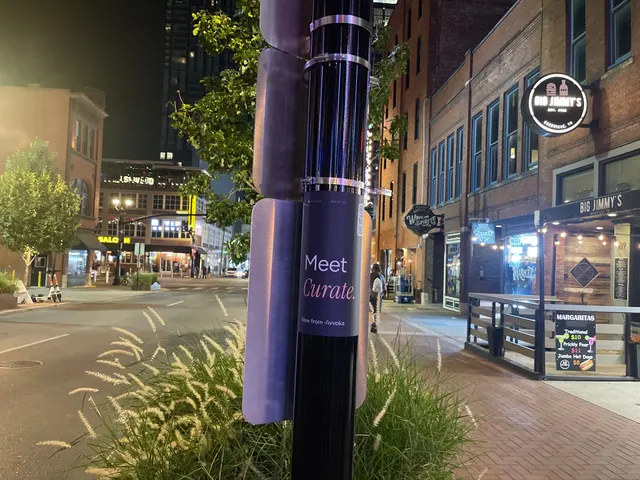 Avvoka pole snipe on the Broadway corridor in Nashville by Beyond Street Media (photo 7 of 190).