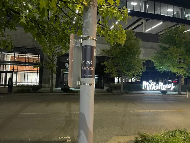 Avvoka pole snipe on the Broadway corridor in Nashville by Beyond Street Media (photo 16 of 190).