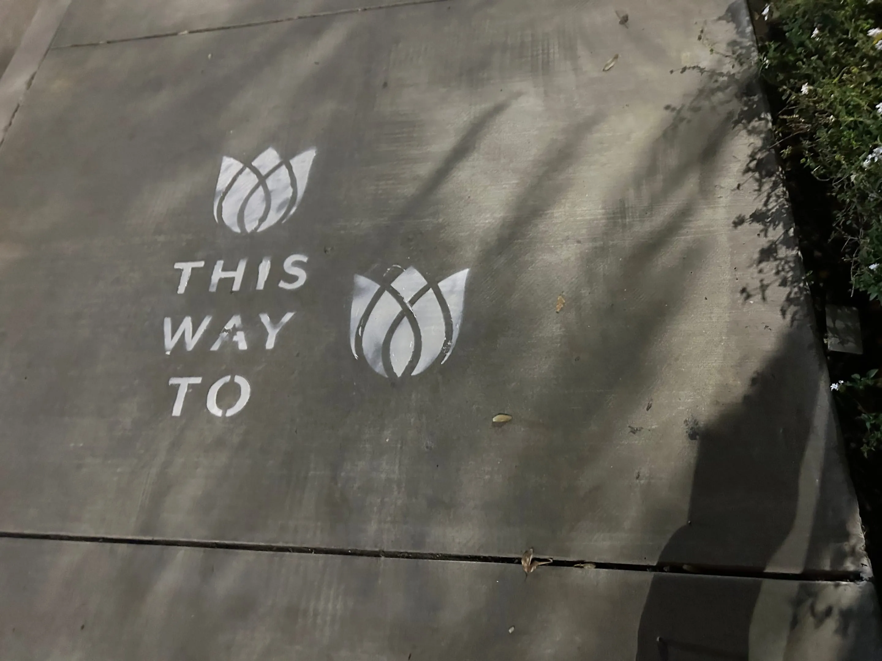 Sidewalk stencil install for Bloomeffects 'Tulip Powered Skincare' on New York City sidewalk in New York City - white stencil with tulip flower mark on concrete by Beyond Street Media