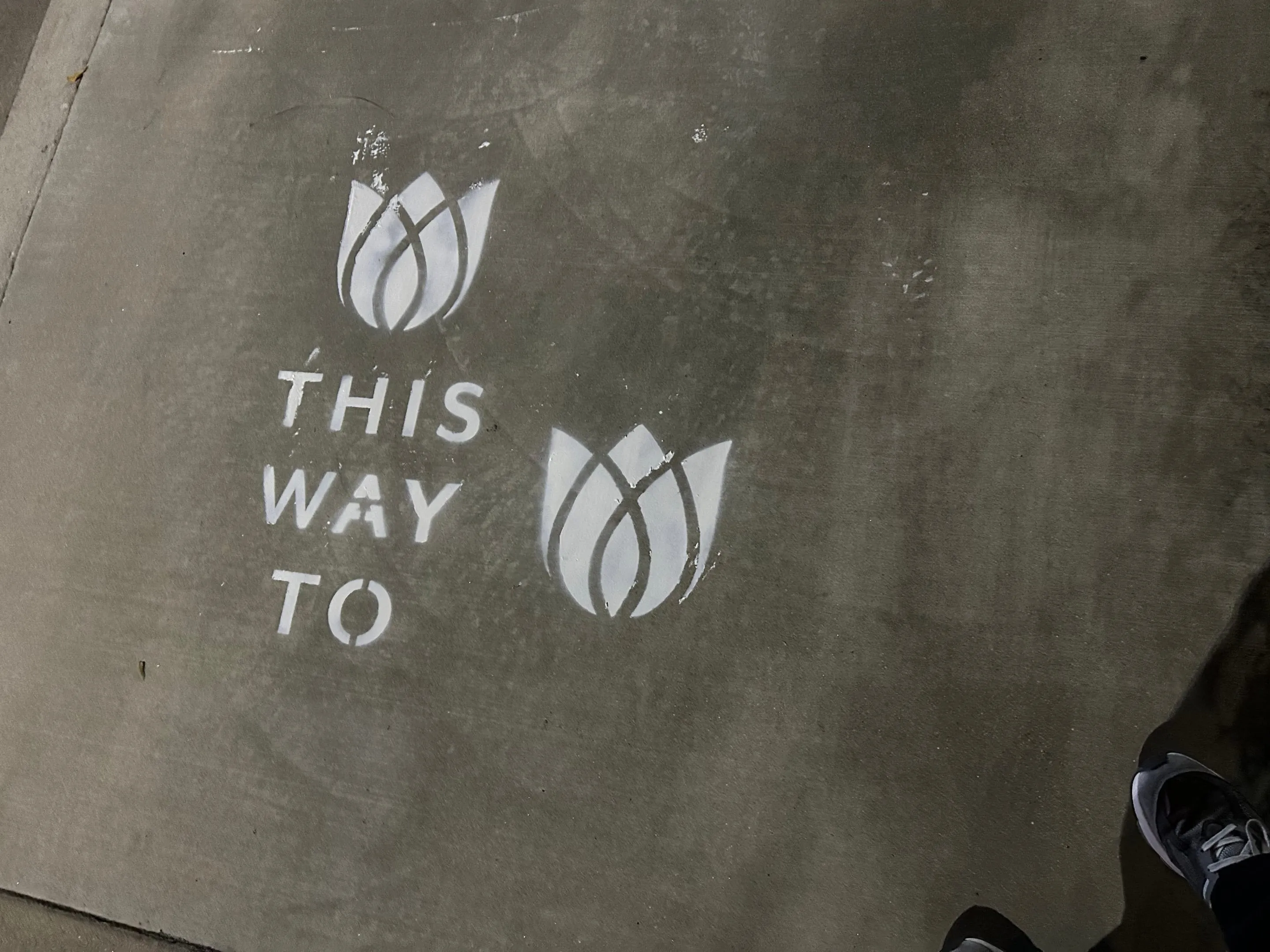 Sidewalk stencil install for Bloomeffects 'Tulip Powered Skincare' on New York City sidewalk in New York City - white stencil with tulip flower mark on concrete by Beyond Street Media
