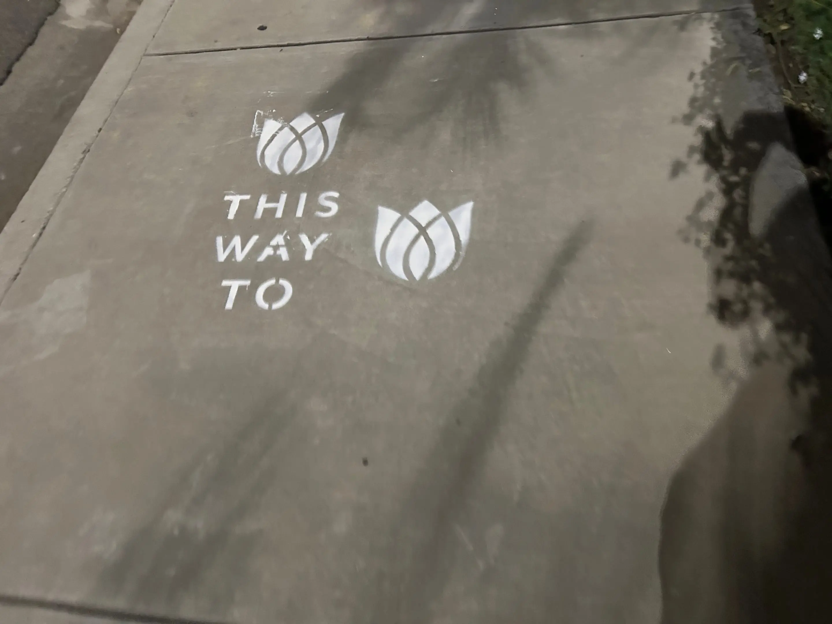 Sidewalk stencil install for Bloomeffects 'Tulip Powered Skincare' on New York City sidewalk in New York City - white stencil with tulip flower mark on concrete by Beyond Street Media