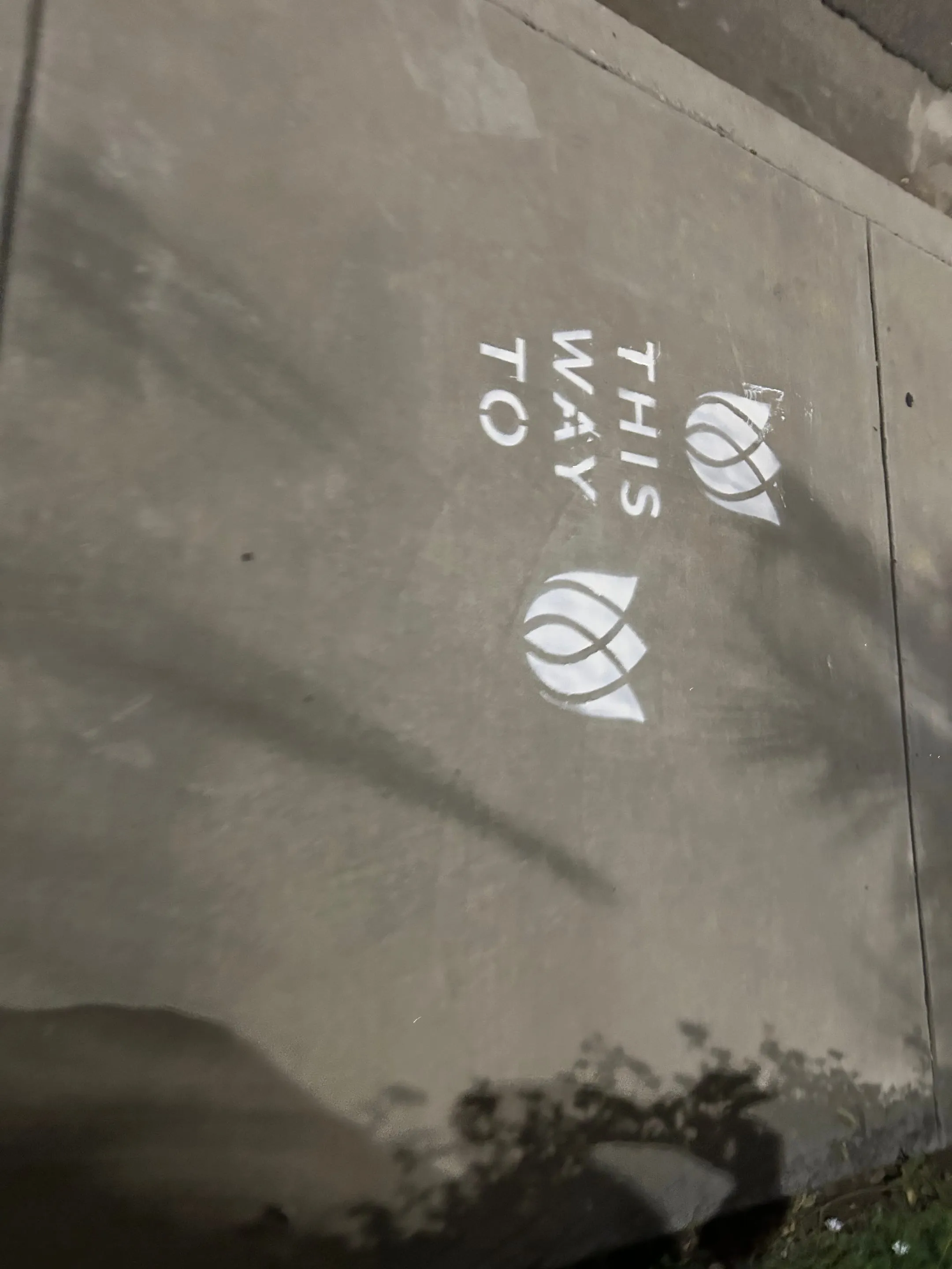 Sidewalk stencil install for Bloomeffects 'Tulip Powered Skincare' on New York City sidewalk in New York City — white stencil with tulip flower mark on concrete by Beyond Street Media