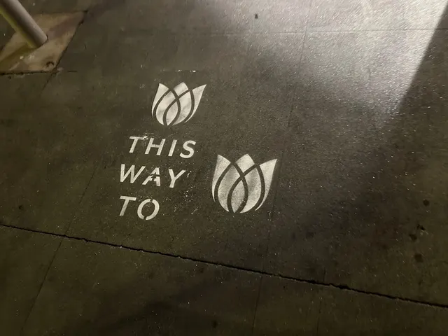 Sidewalk stencil install for Bloomeffects 'Tulip Powered Skincare' on New York City sidewalk in New York City - white stencil with tulip flower mark on concrete by Beyond Street Media (photo 10 of 12).