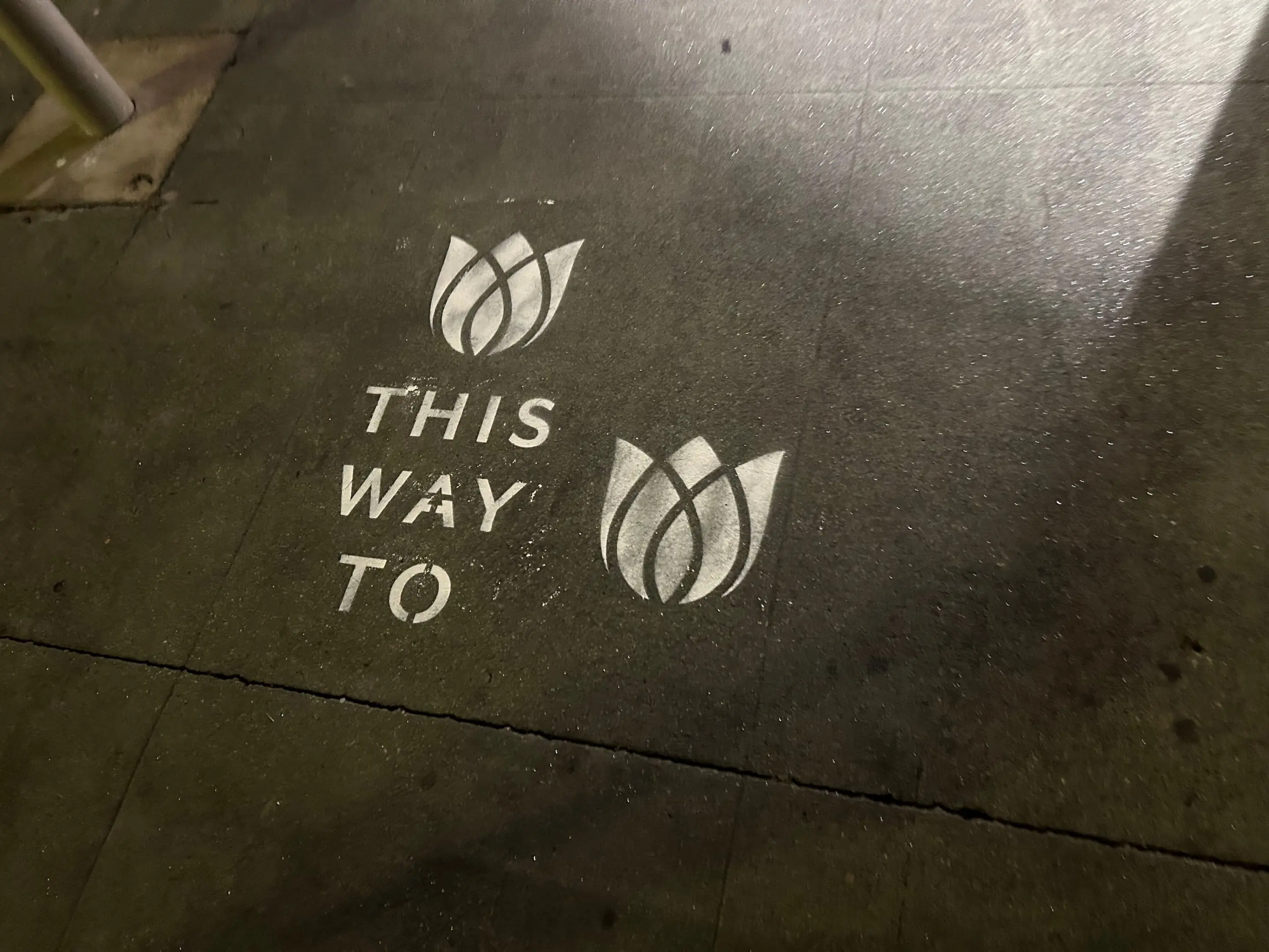 Sidewalk stencil install for Bloomeffects 'Tulip Powered Skincare' on New York City sidewalk in New York City - white stencil with tulip flower mark on concrete by Beyond Street Media