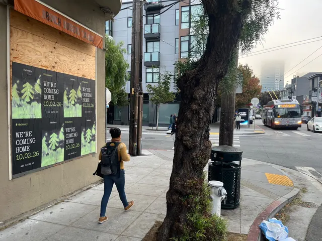 Huckberry wheatpaste posters on a boarded corner at Hayes and Laguna, Hayes Valley, a pedestrian passing and a Muni bus on Hayes