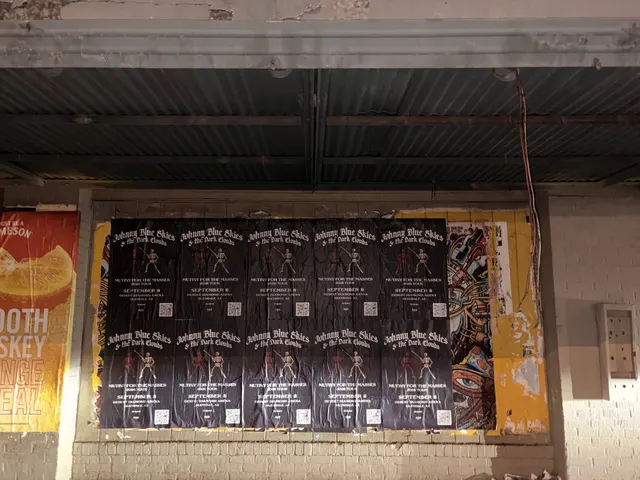 Johnny Blue Skies wheatpaste show poster in downtown Phoenix by Beyond Street Media (photo 22 of 31).