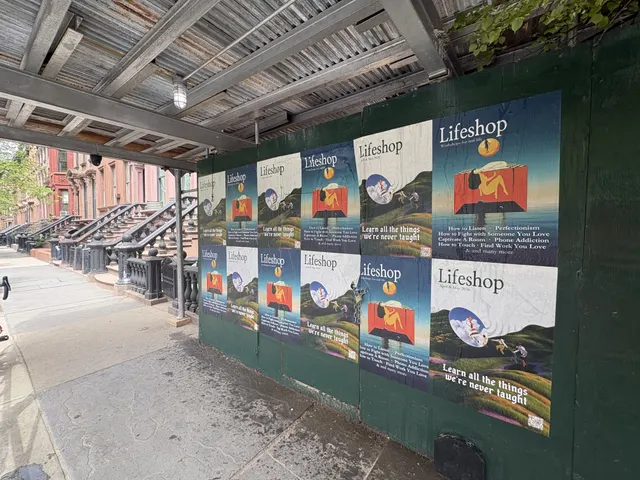 Lifeshop 'Learn all the things we're never taught' wheatpaste in New York City (Williamsburg scaffolding) by Beyond Street Media (photo 8 of 13).
