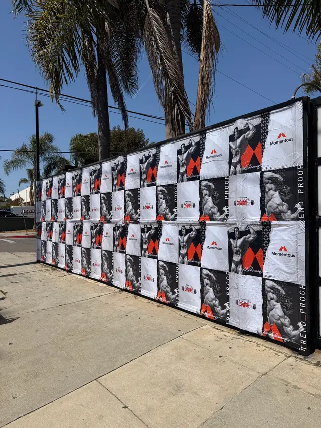Large-scale wheatpaste campaign on construction hoarding in Los Angeles, CA by Beyond Street Media (photo 13 of 16).
