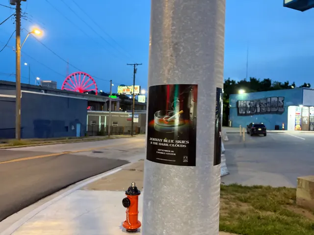 Johnny Blue Skies ashtray poster on a galvanized pole at Southwest Boulevard, an orange hydrant and the Westside mural at night